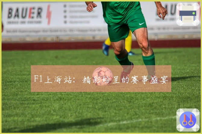 F1上海站：精彩纷呈的赛事盛宴
